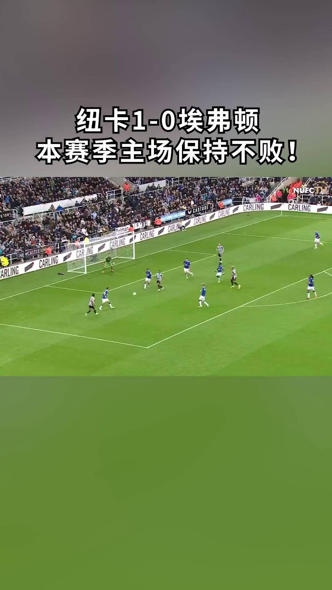 鲁能主场大胜权健,塔神头槌破门助球队取胜保持不败的简单介绍 鲁能主场大胜权健,塔神头槌破门助球队取胜保持不败的简单介绍