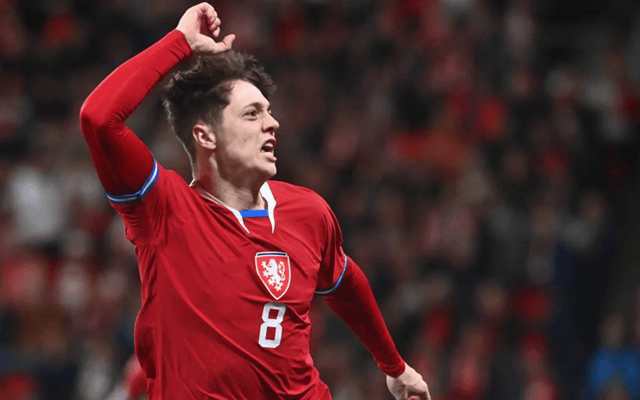 欧洲预选赛中捷克队奋力抗争的简单介绍