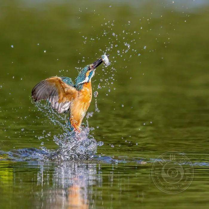 开云体育入口-挪威挑战塞尔维亚，胜负未定看谁能出人头地？的简单介绍