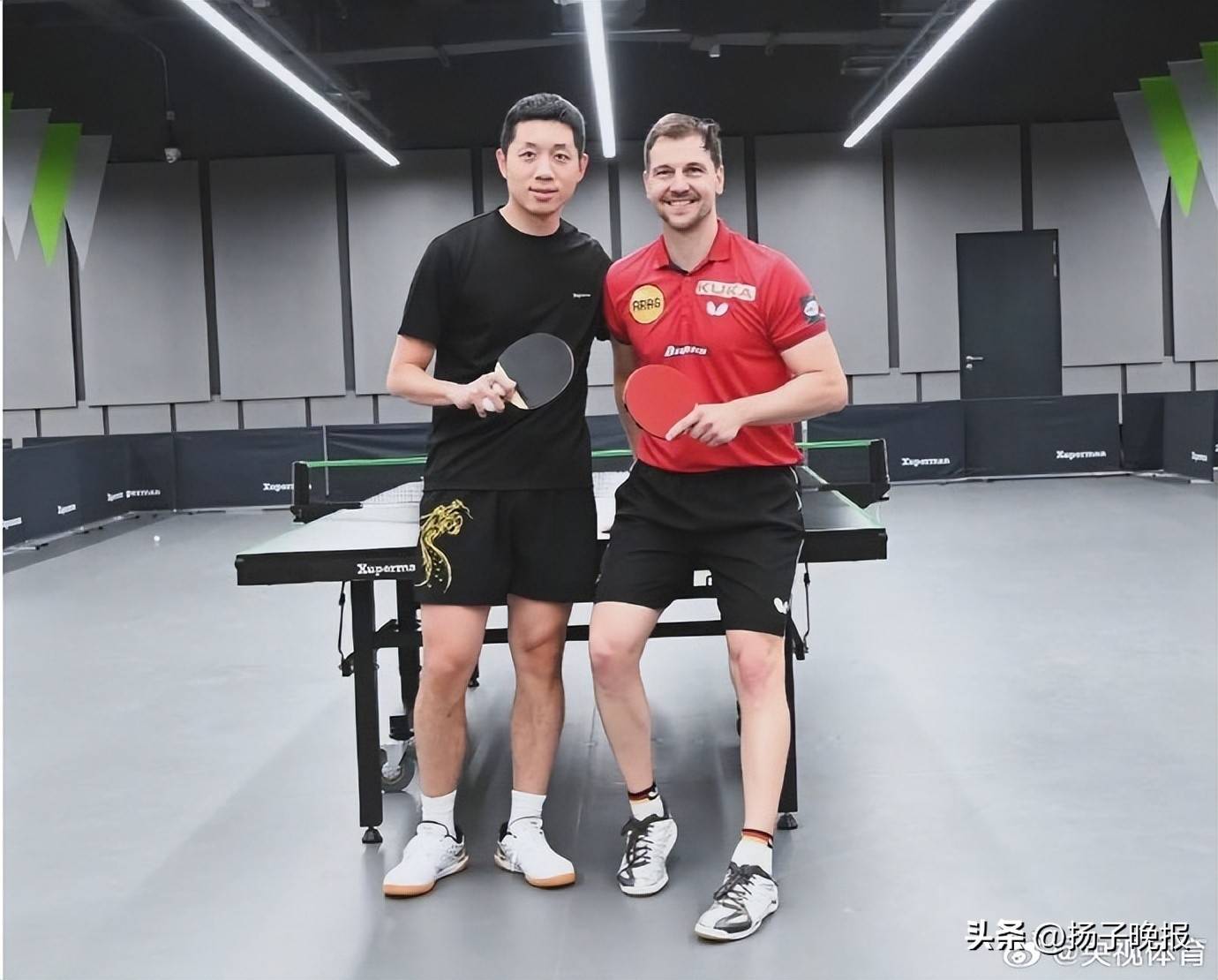 开云下载-英国乒乓球队血洗日本乒乓球队，波尔送出助攻的简单介绍